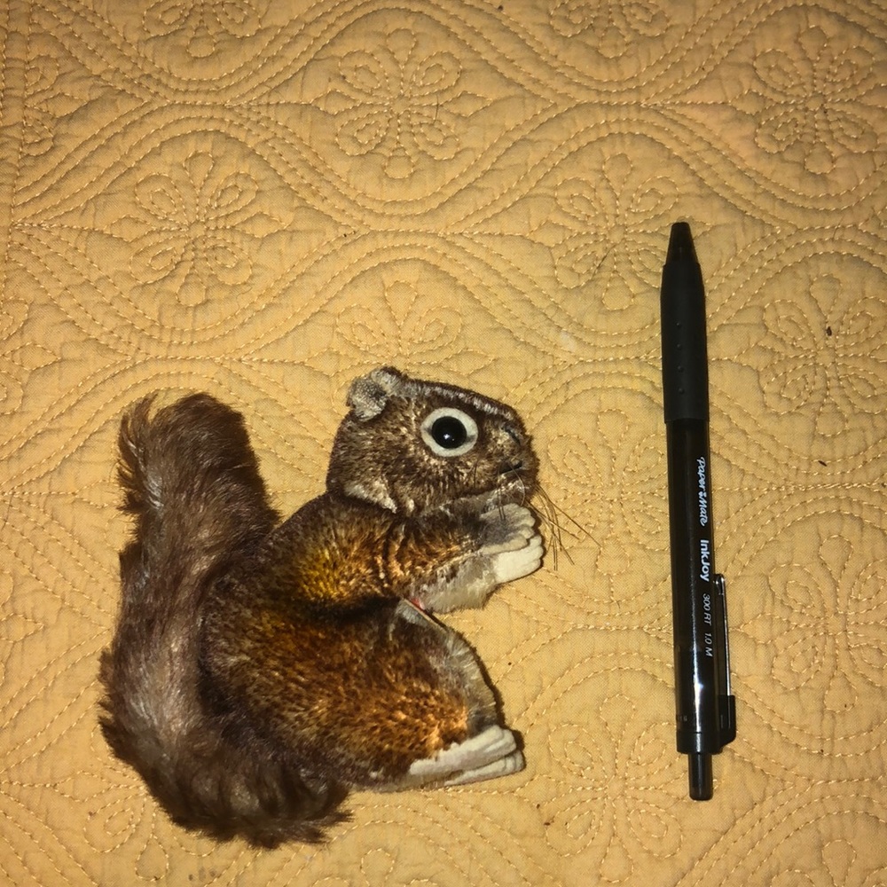 Steiff Squirrel - Picture 5 of 5